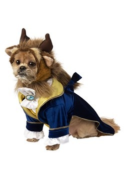 Beast Dog Costume