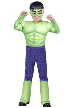 Toddler The Incredible Hulk Costume